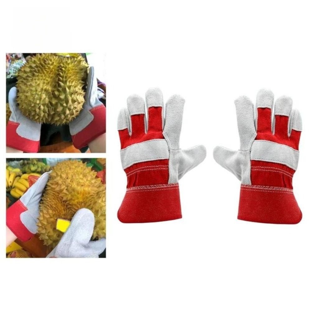 Luvas de Jardinagem em Couro d - Cut Resistant Glove avaliação e preço
